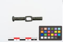 Foto von Bronzezwergknebel (NHMW-PRAE-025037)